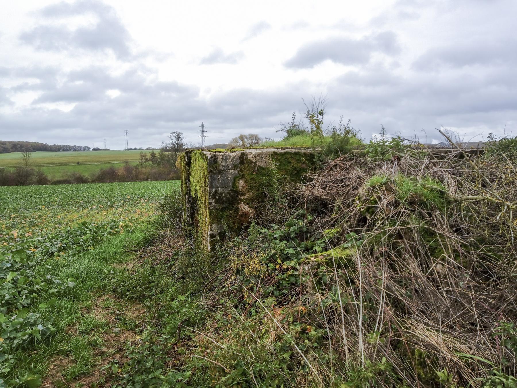 Ligne Maginot - IMMEREN 4 - (Blockhaus pour arme infanterie) -  - Marc Fossoul