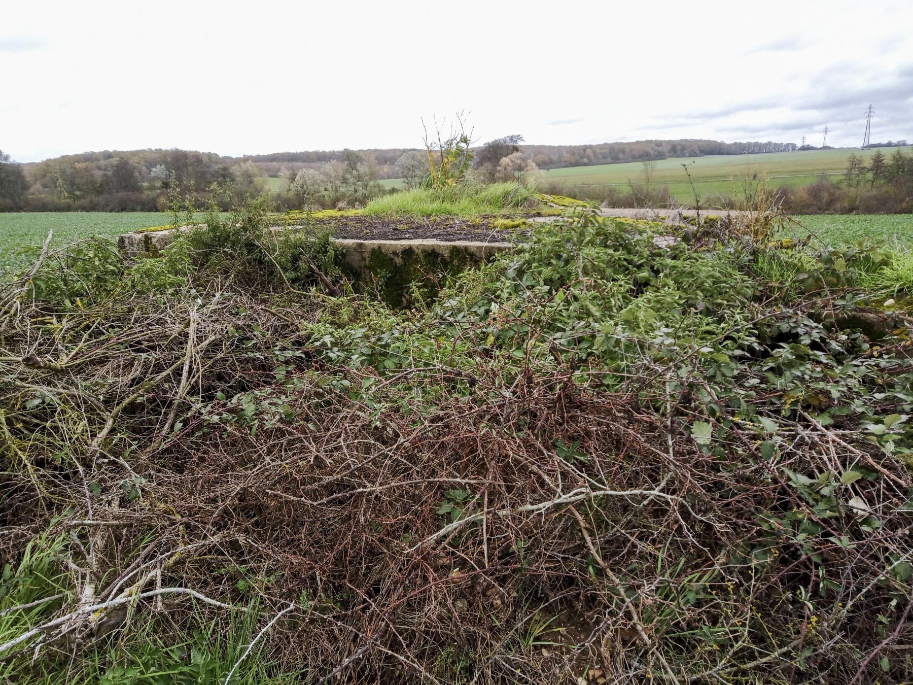 Ligne Maginot - IMMEREN 4 - (Blockhaus pour arme infanterie) - Le blockhaus disparaît peu à peu sous toutes sortes de matériaux - Marc Fossoul