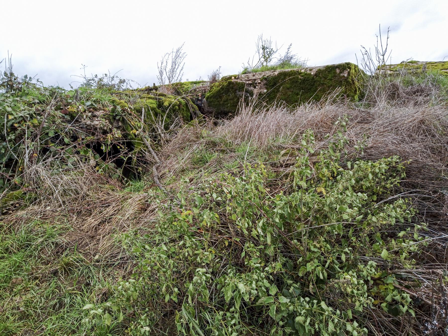 Ligne Maginot - IMMEREN 4 - (Blockhaus pour arme infanterie) -  - Marc Fossoul