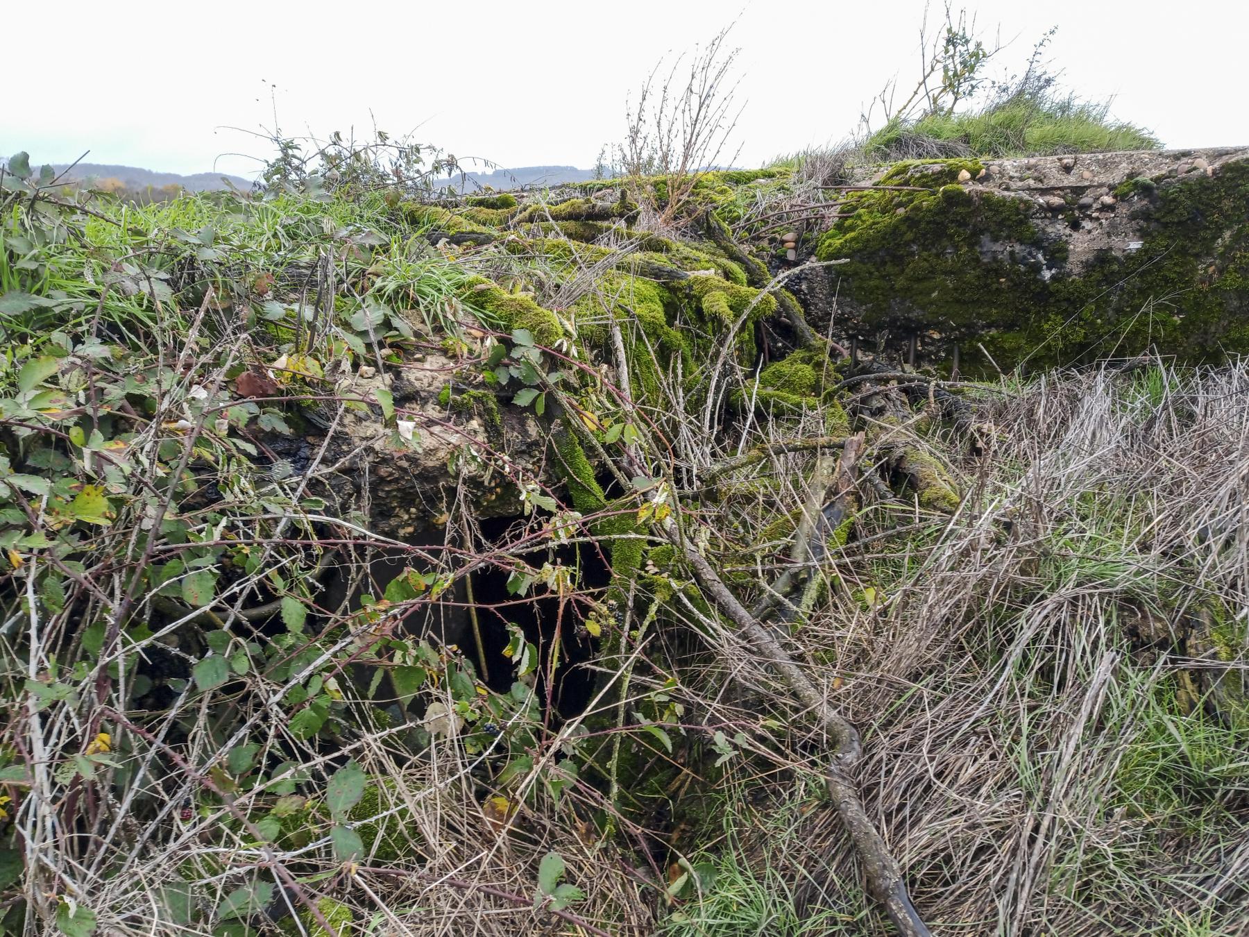 Ligne Maginot - IMMEREN 4 - (Blockhaus pour arme infanterie) -  - Marc Fossoul