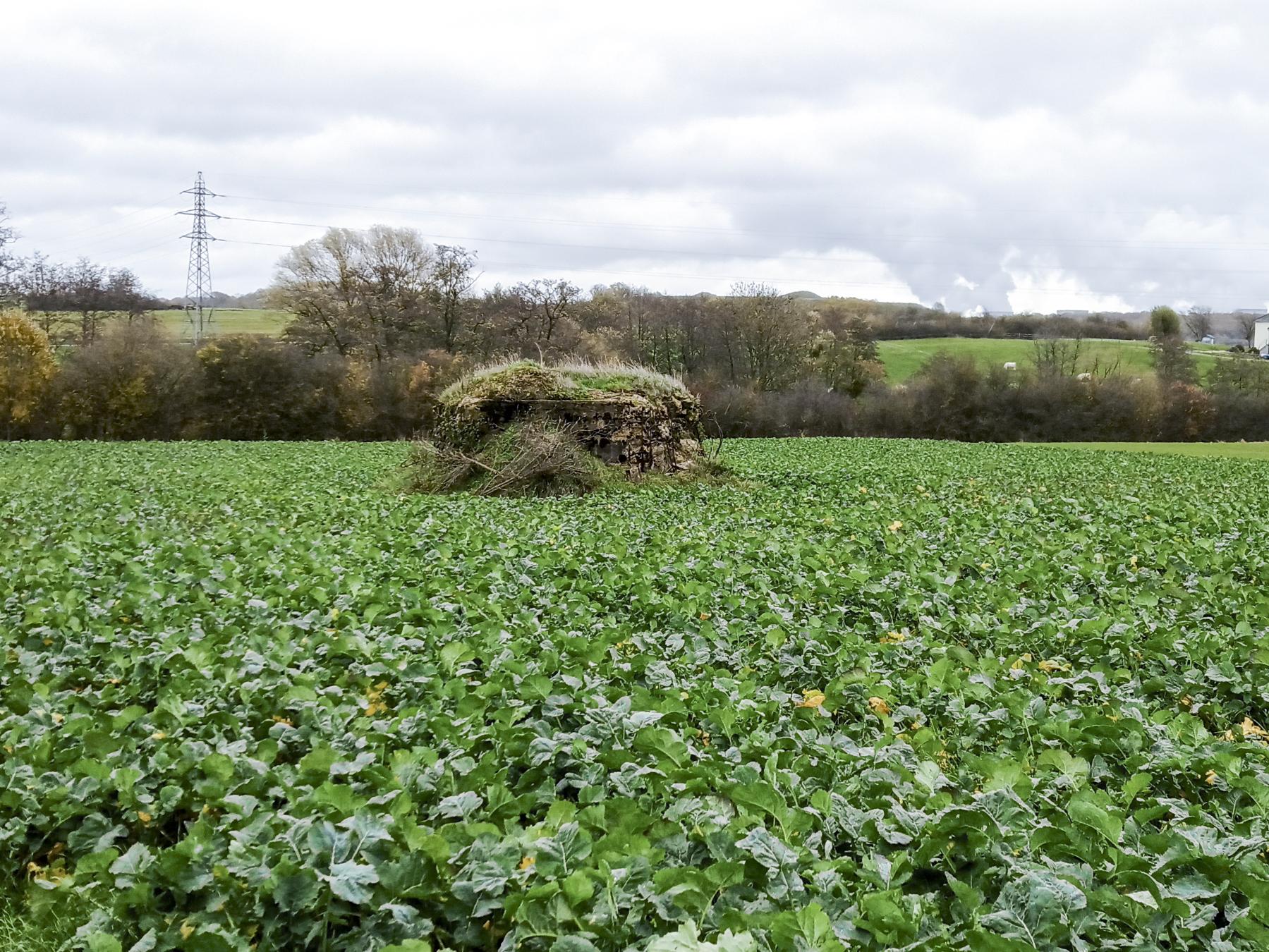 Ligne Maginot - IMMEREN 5 - (Blockhaus pour arme infanterie) -  - Marc Fossoul