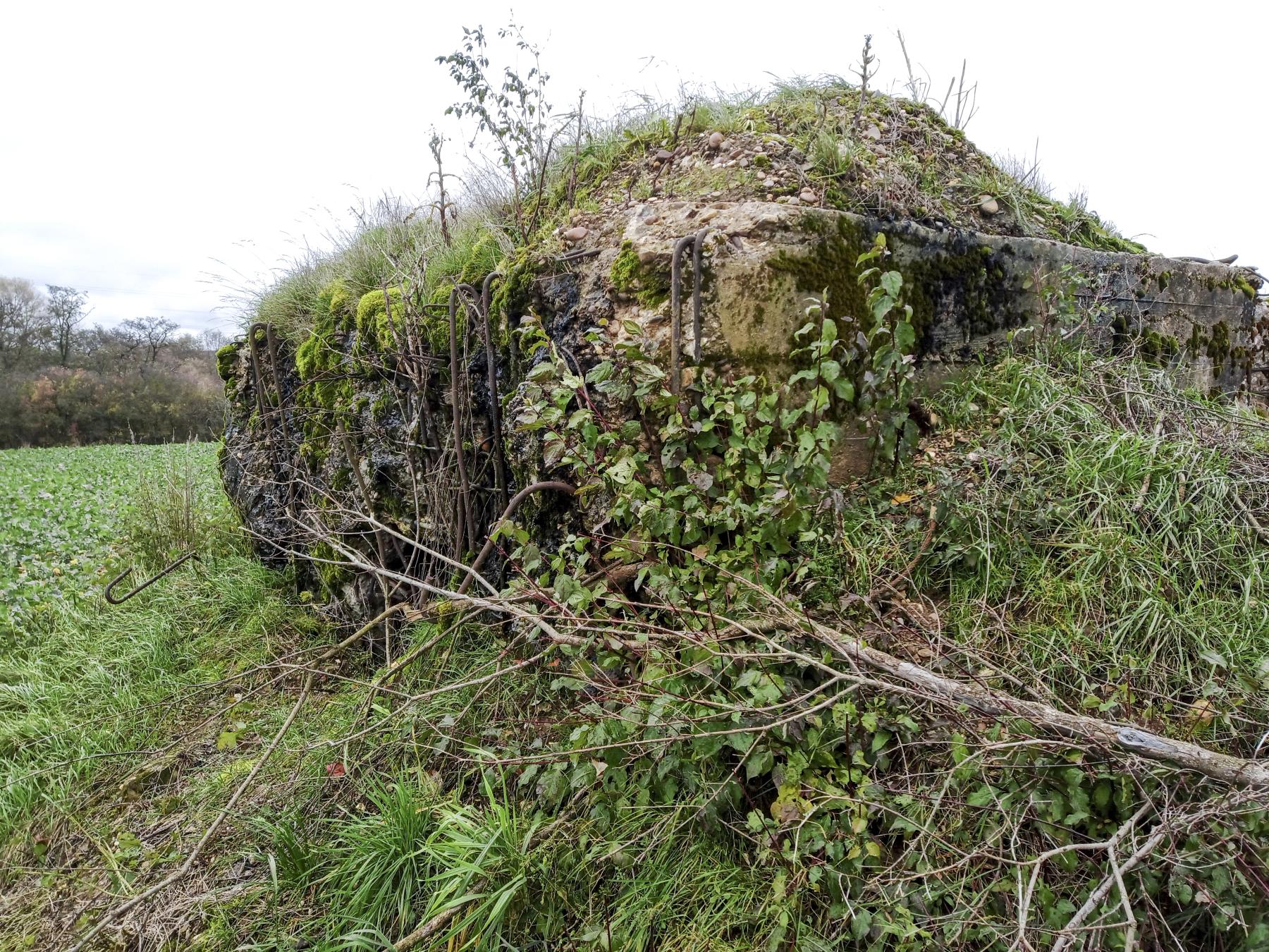 Ligne Maginot - IMMEREN 5 - (Blockhaus pour arme infanterie) - La façade - Marc Fossoul
