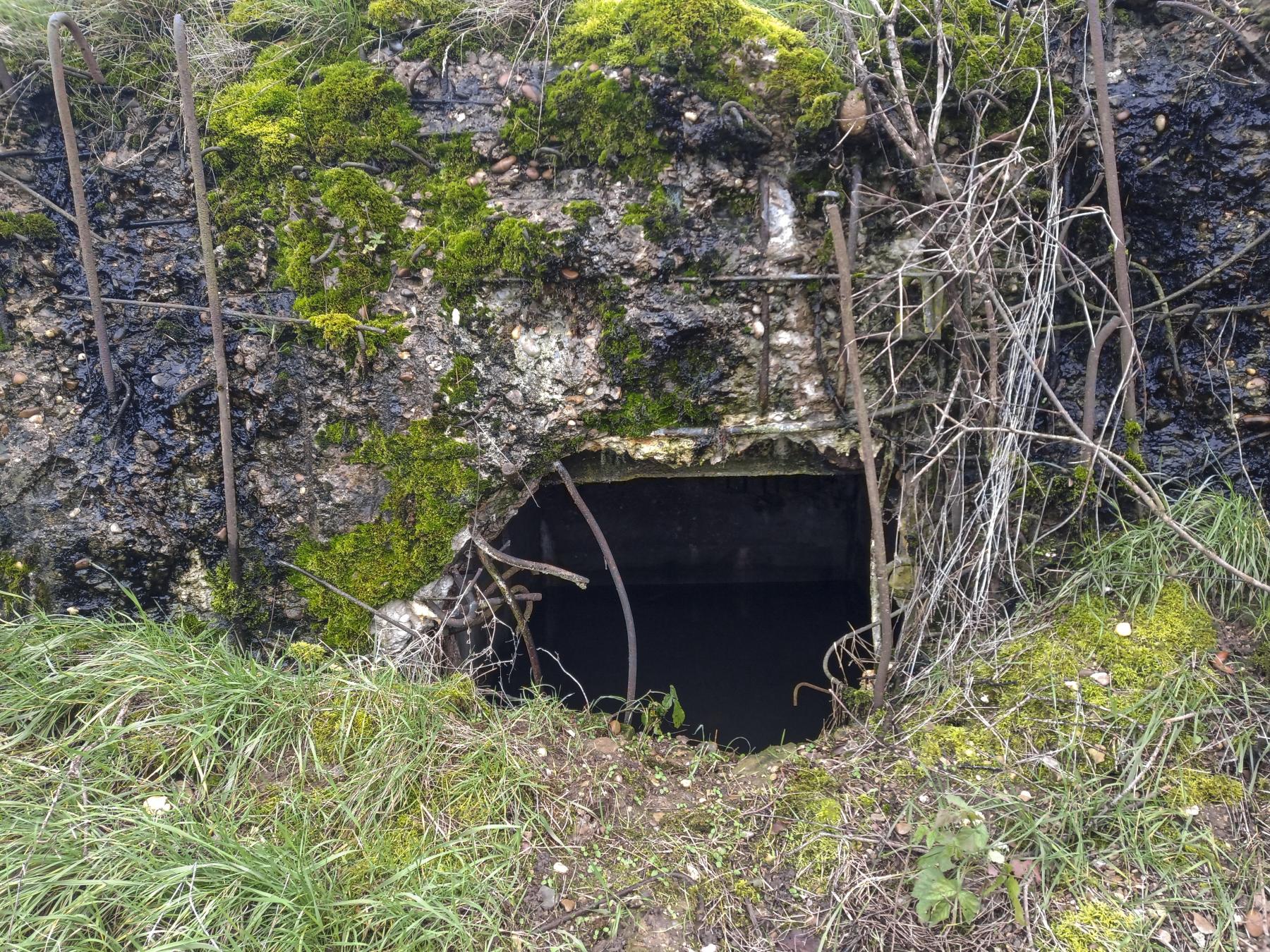 Ligne Maginot - IMMEREN 5 - (Blockhaus pour arme infanterie) - La façade - Marc Fossoul