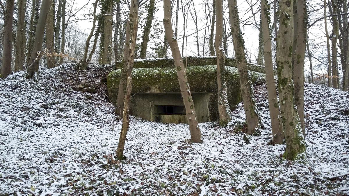 Ligne Maginot - DB16 - (Blockhaus pour arme infanterie) - 