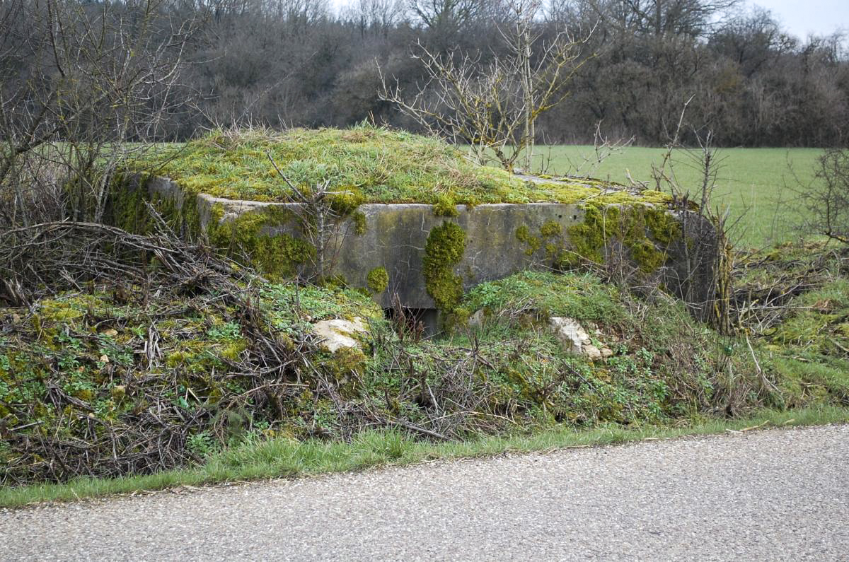Ligne Maginot - DB18-D - FOND TOURNA - (Blockhaus pour arme infanterie) - Vu de l'avant
A moins de 150 mètres de l'ouvrage A5/Bois du Four cet ouvrage est en train de disparaître car la nature reprend ses droits - Christian RICHON/Devoitine520