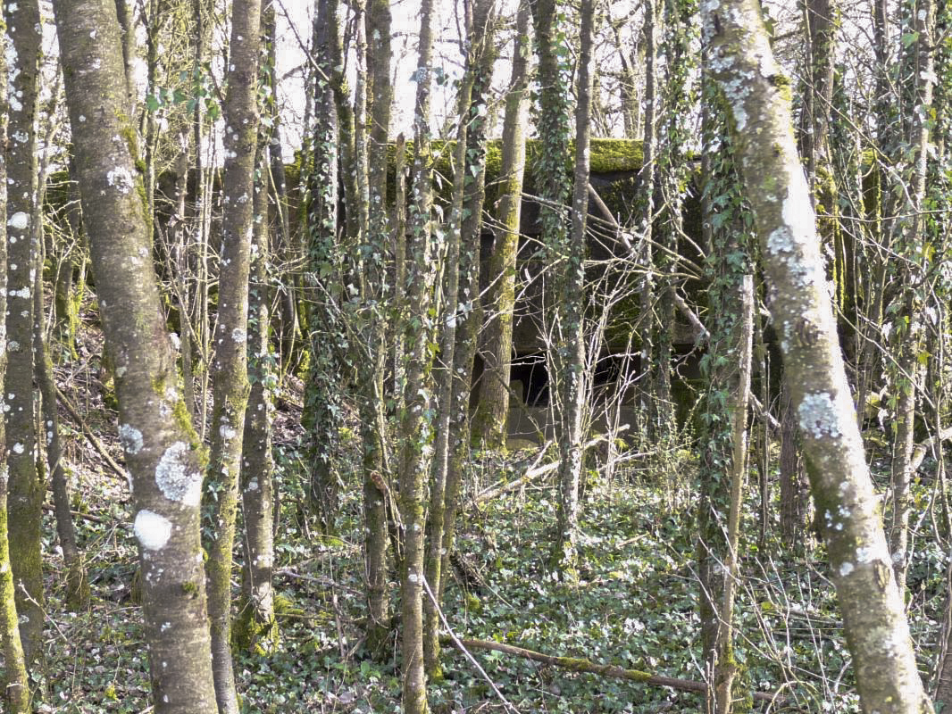 Ligne Maginot - DB18 - (Blockhaus pour canon) -  - Sylvie Laure LAMBERT