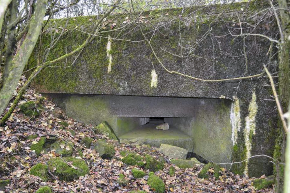 Ligne Maginot - L'entrée -  - Pruzsina jérome