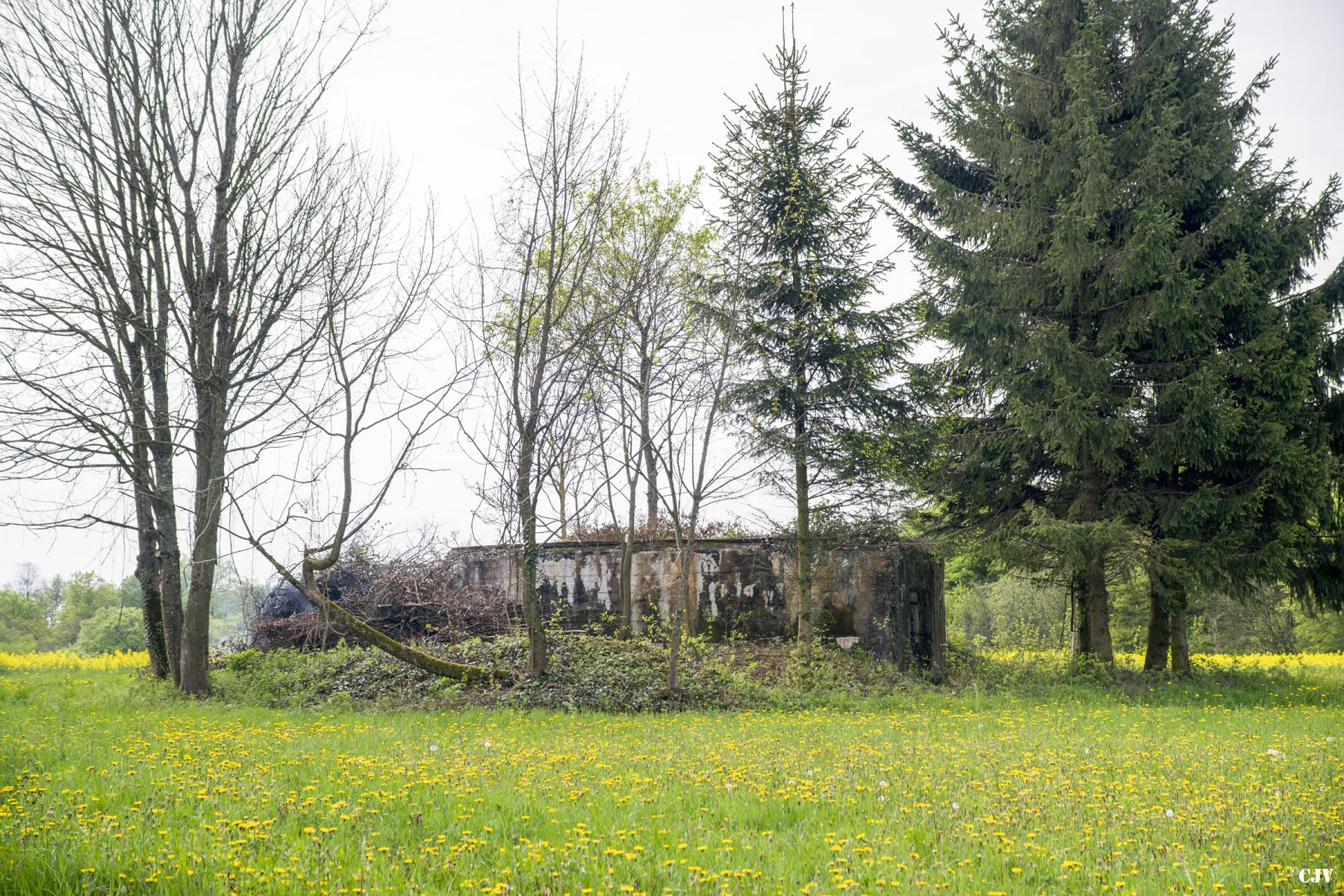Ligne Maginot - DB202 - (Blockhaus pour canon) - Vue depuis la route - Lia VERMEULEN