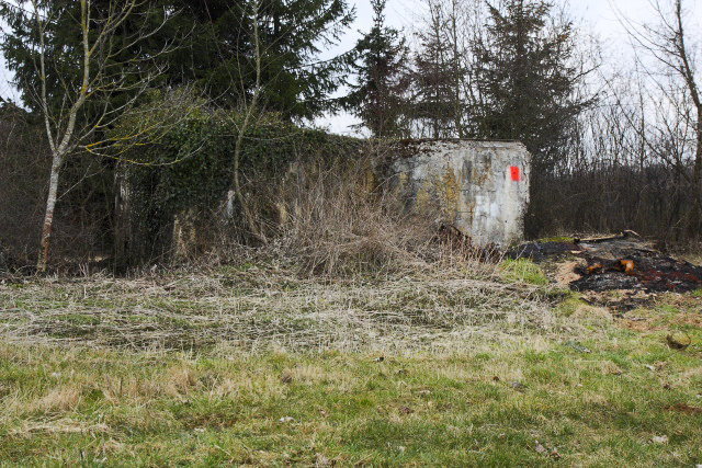 Ligne Maginot - DB202 - (Blockhaus pour canon) -  - www.arnaultjl-photo.com