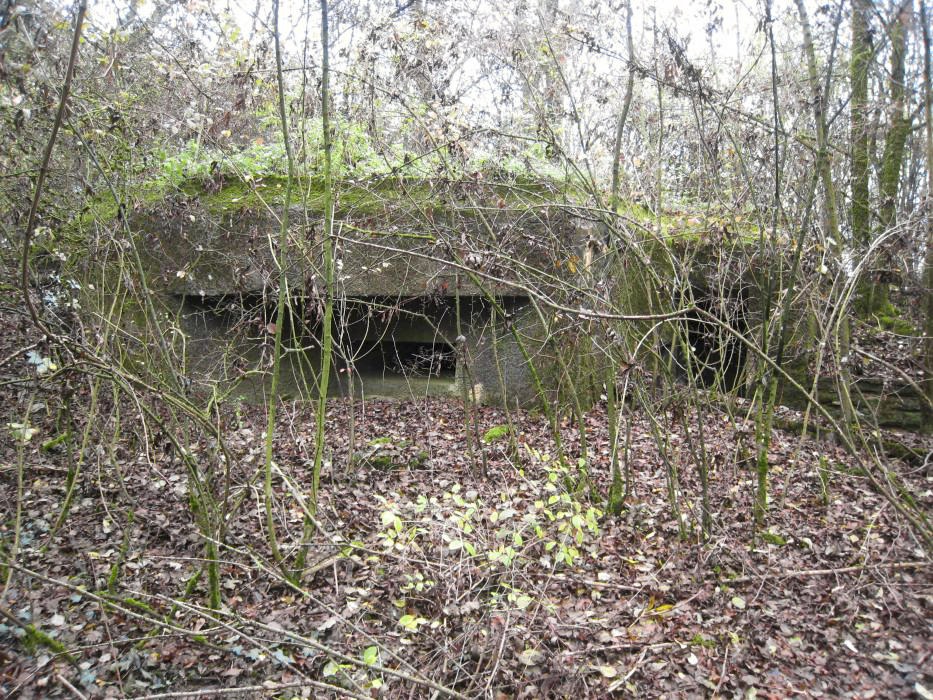 Ligne Maginot - DB19 - (Blockhaus pour arme infanterie) -  - Pruzsina jerome