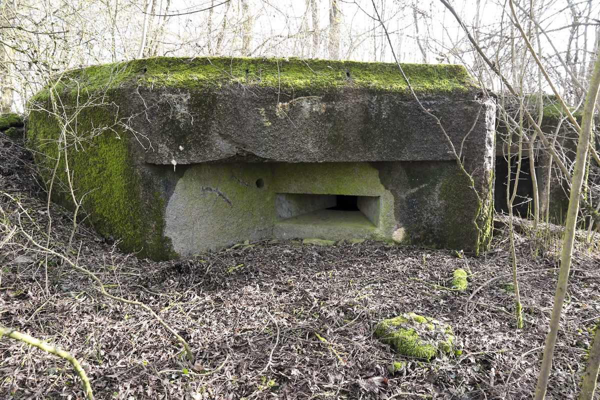 Ligne Maginot - DB19 - (Blockhaus pour arme infanterie) - Créneau nord - Alain Perouffe