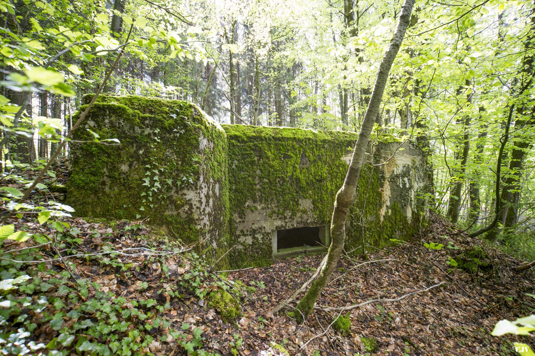 Ligne Maginot - DB214 - MORFONTAINE STADE - (Blockhaus pour canon) - Vue frontale - Lia VERMEULEN
