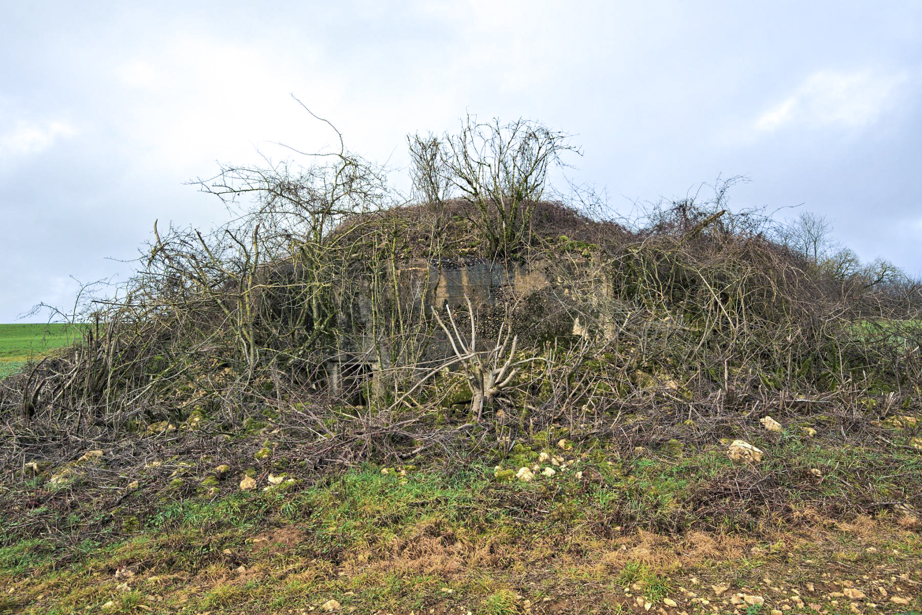 Ligne Maginot - DB221 - (Blockhaus pour arme infanterie) -  - thierry caland