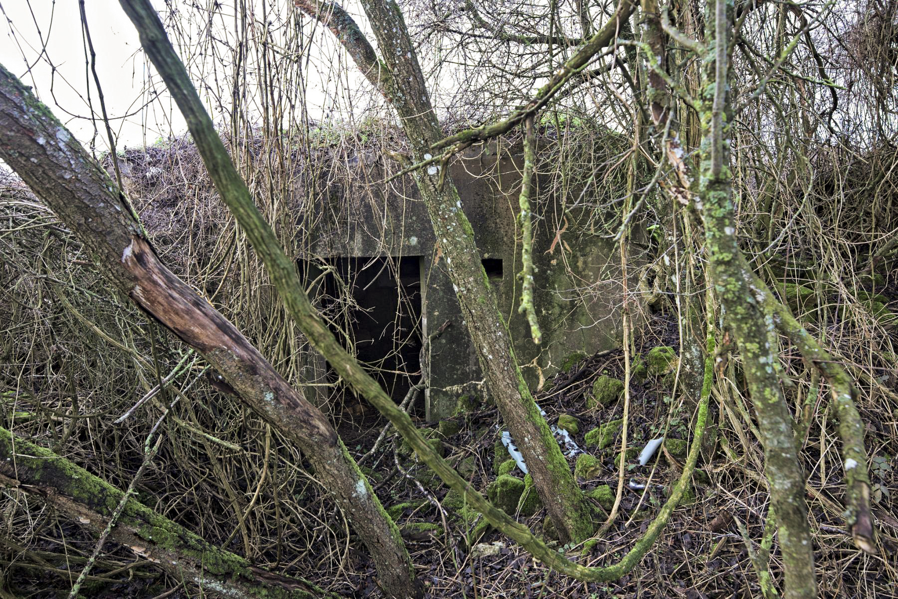 Ligne Maginot - DB222 - (Blockhaus pour canon) -  - thierry caland