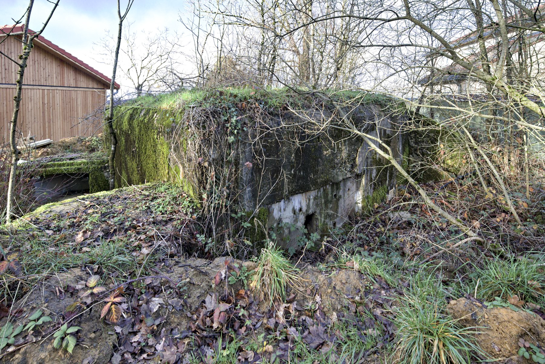 Ligne Maginot - DB224 - (Blockhaus pour arme infanterie) -  - thierry caland
