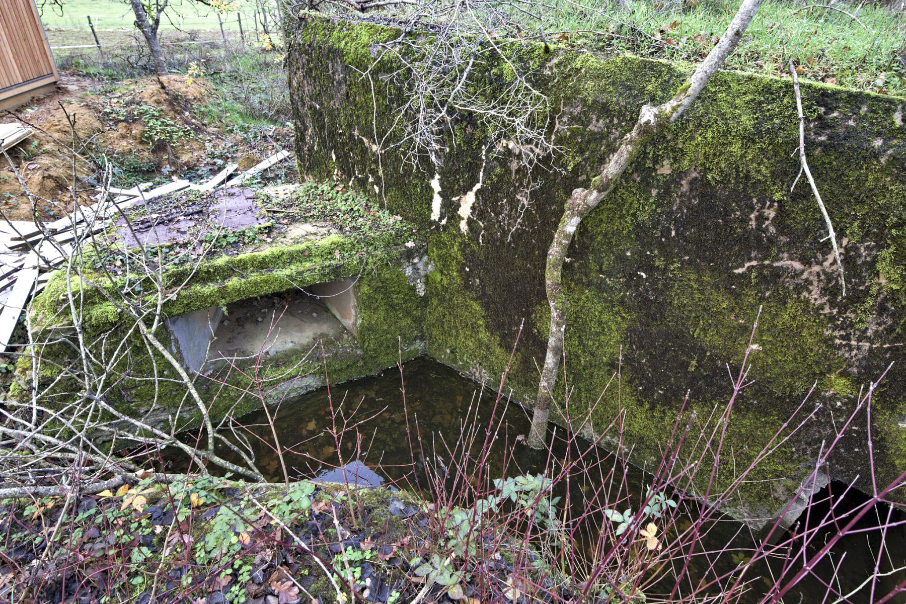 Ligne Maginot - DB224 - (Blockhaus pour arme infanterie) -  - thierry caland