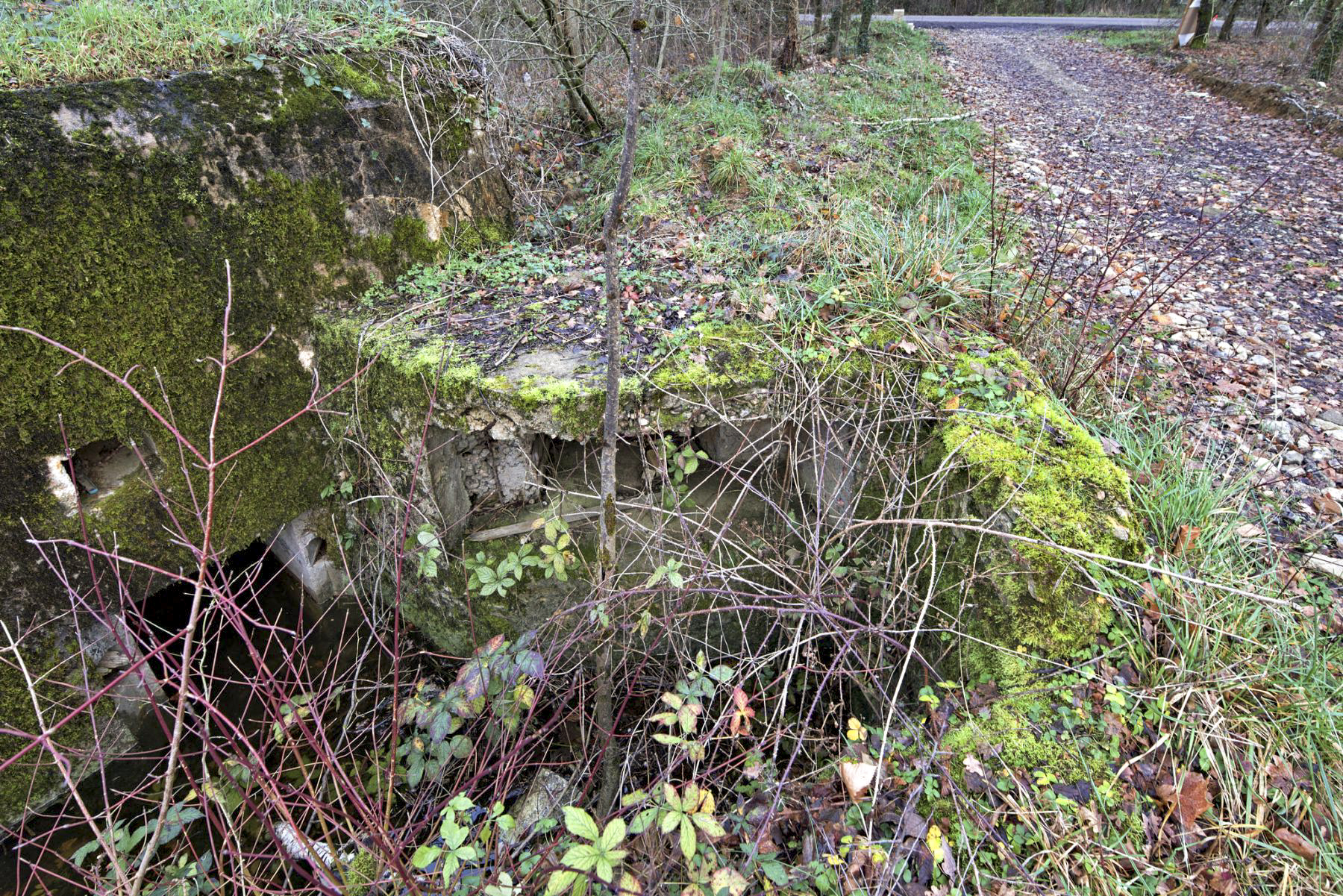 Ligne Maginot - DB224 - (Blockhaus pour arme infanterie) -  - thierry caland