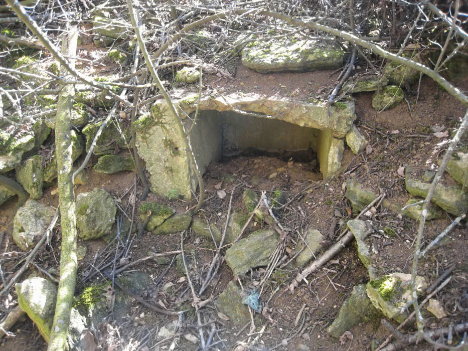 Ligne Maginot - DB227 - (Blockhaus pour canon) -  - Pruzsina jerome