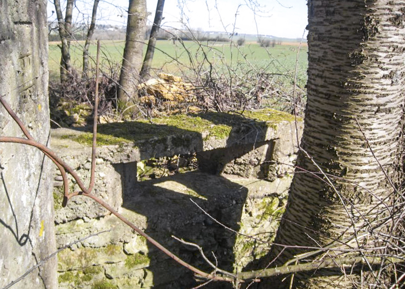 Ligne Maginot - DB227 - (Blockhaus pour canon) -  - Pruzsina jerome