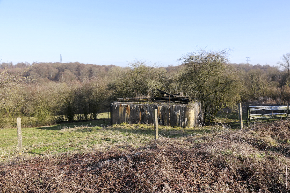 Ligne Maginot - DB238 - (Blockhaus pour canon) -  - Alain Perouffe
