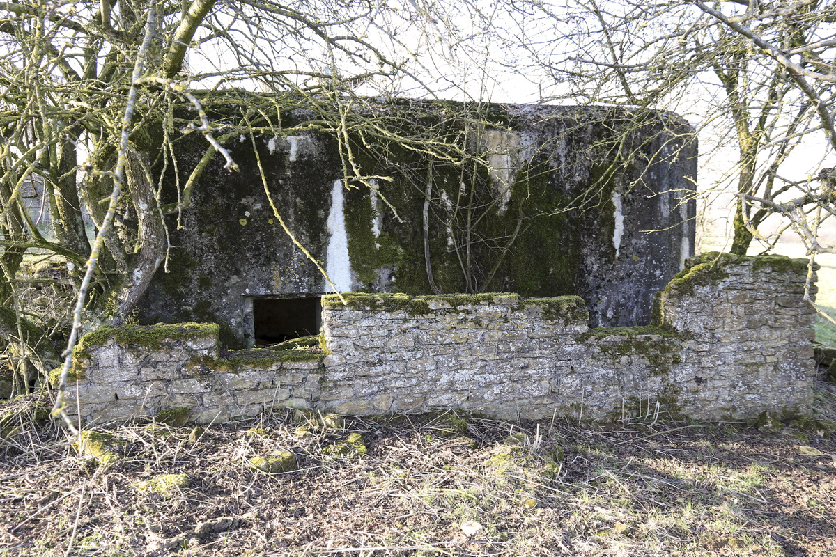 Ligne Maginot - DB238 - (Blockhaus pour canon) -  - Alain Perouffe