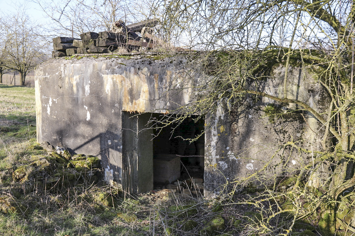 Ligne Maginot - DB238 - (Blockhaus pour canon) -  - Alain Perouffe