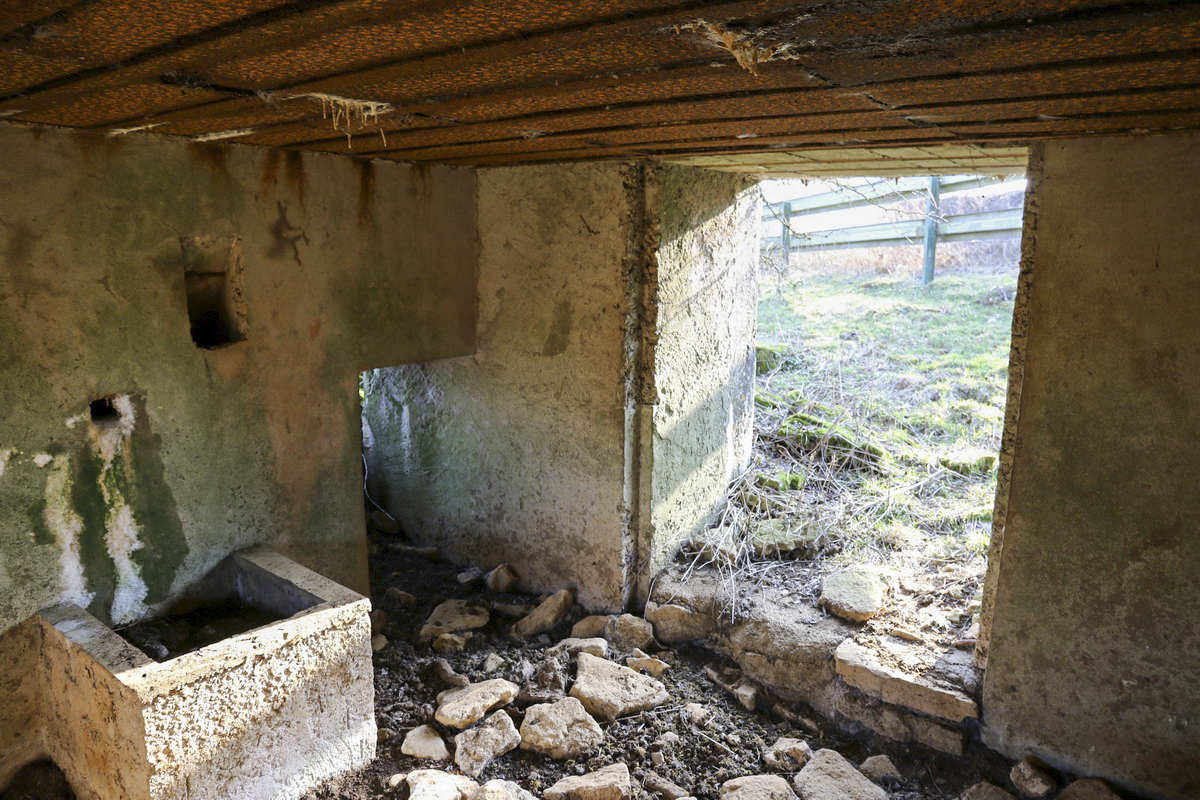 Ligne Maginot - DB238 - (Blockhaus pour canon) -  - Alain Perouffe