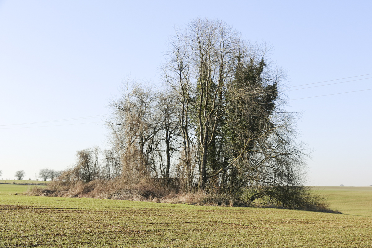 Ligne Maginot - DB239 - MM267BIS - (Blockhaus pour canon) -  - Alain Perouffe