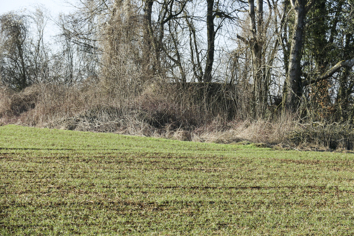 Ligne Maginot - DB239 - MM267BIS - (Blockhaus pour canon) -  - Alain Perouffe