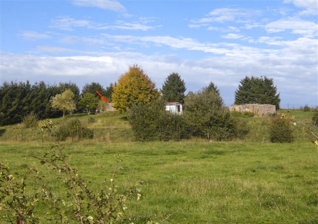 Ligne Maginot - DB254 - BASLIEUX NORD 1 - (Blockhaus pour canon) -  - Olivier MUEL