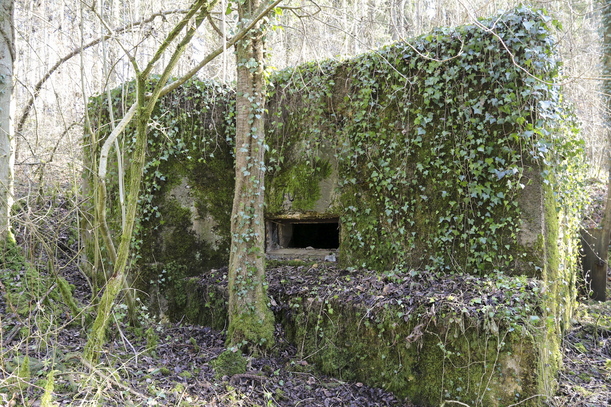 Ligne Maginot - DB265 - FOND FLOSSE - (Blockhaus pour canon) -  - Alain Perouffe