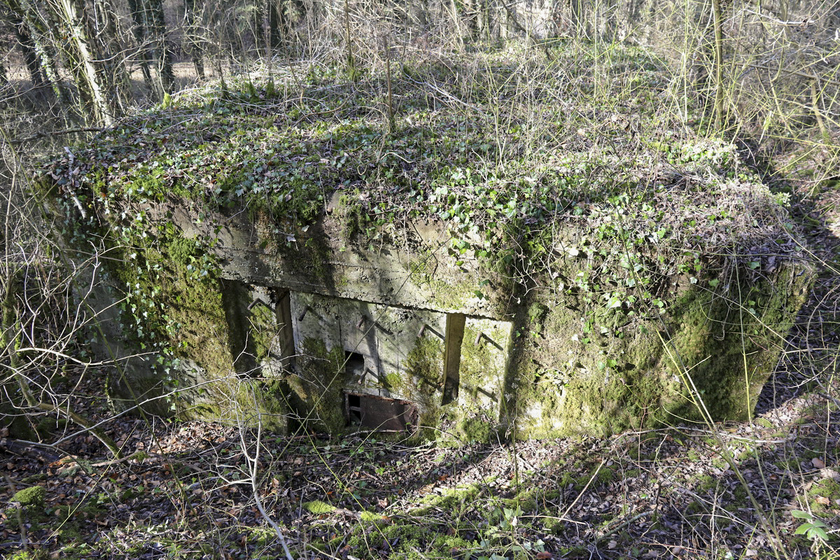 Ligne Maginot - DB265 - FOND FLOSSE - (Blockhaus pour canon) -  - Alain Perouffe