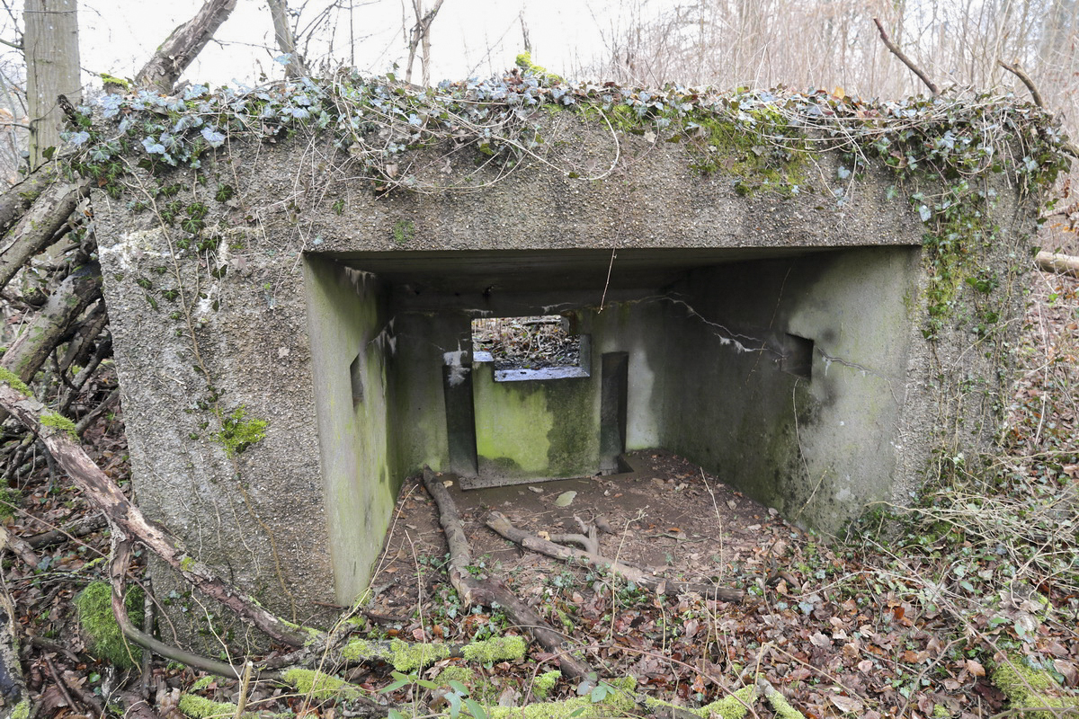 Ligne Maginot - DBO2 - (Blockhaus pour canon) -  - Alain Perouffe
