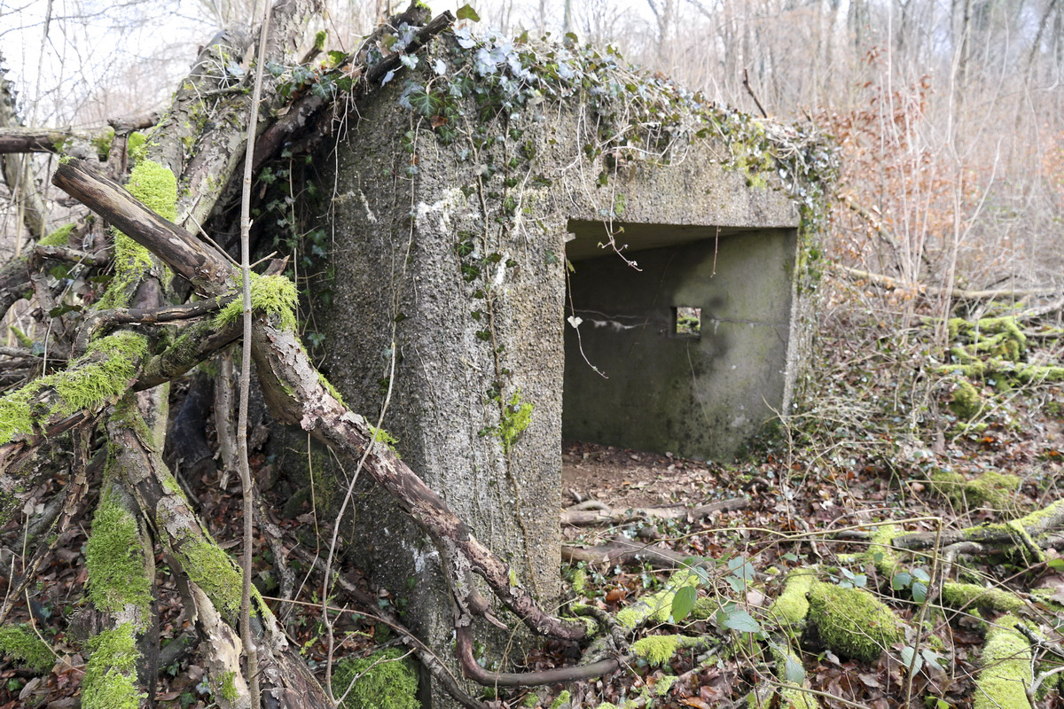 Ligne Maginot - DBO2 - (Blockhaus pour canon) -  - Alain Perouffe
