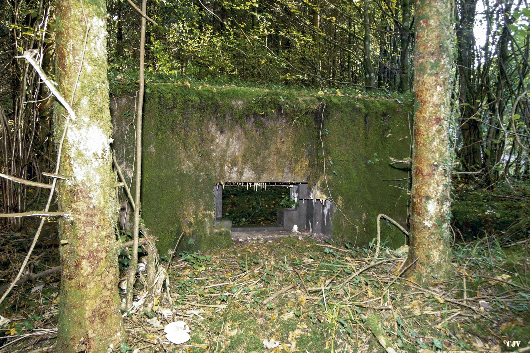 Ligne Maginot - DBO3 - (Blockhaus pour canon) - 