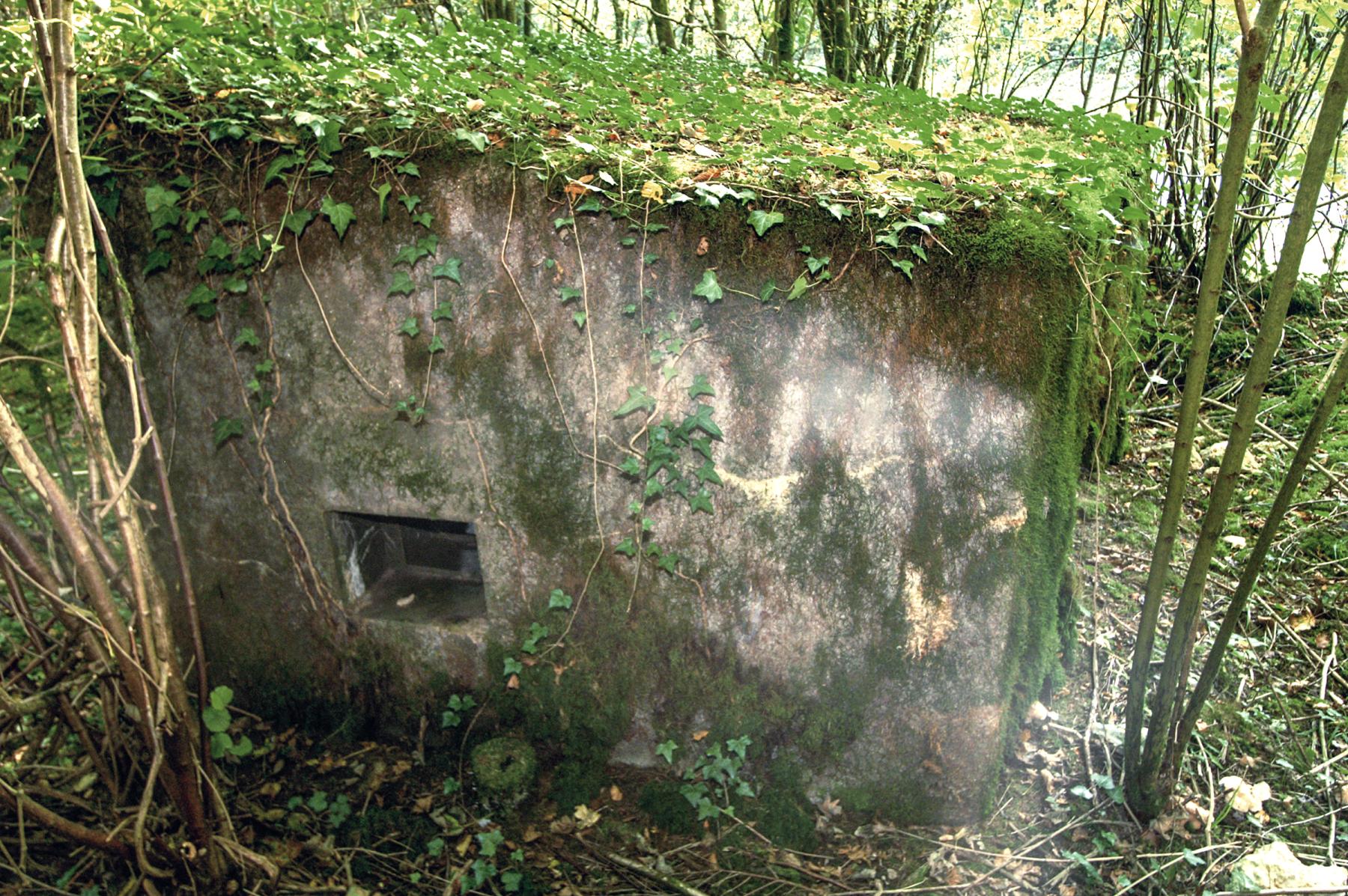 Ligne Maginot - DBO3 - (Blockhaus pour canon) - 
