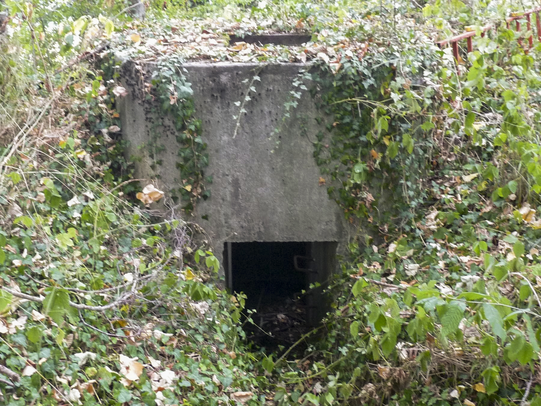 Ligne Maginot - DT20B - (Cuve pour arme d'infanterie) -  - Sylvie Laure LAMBERT