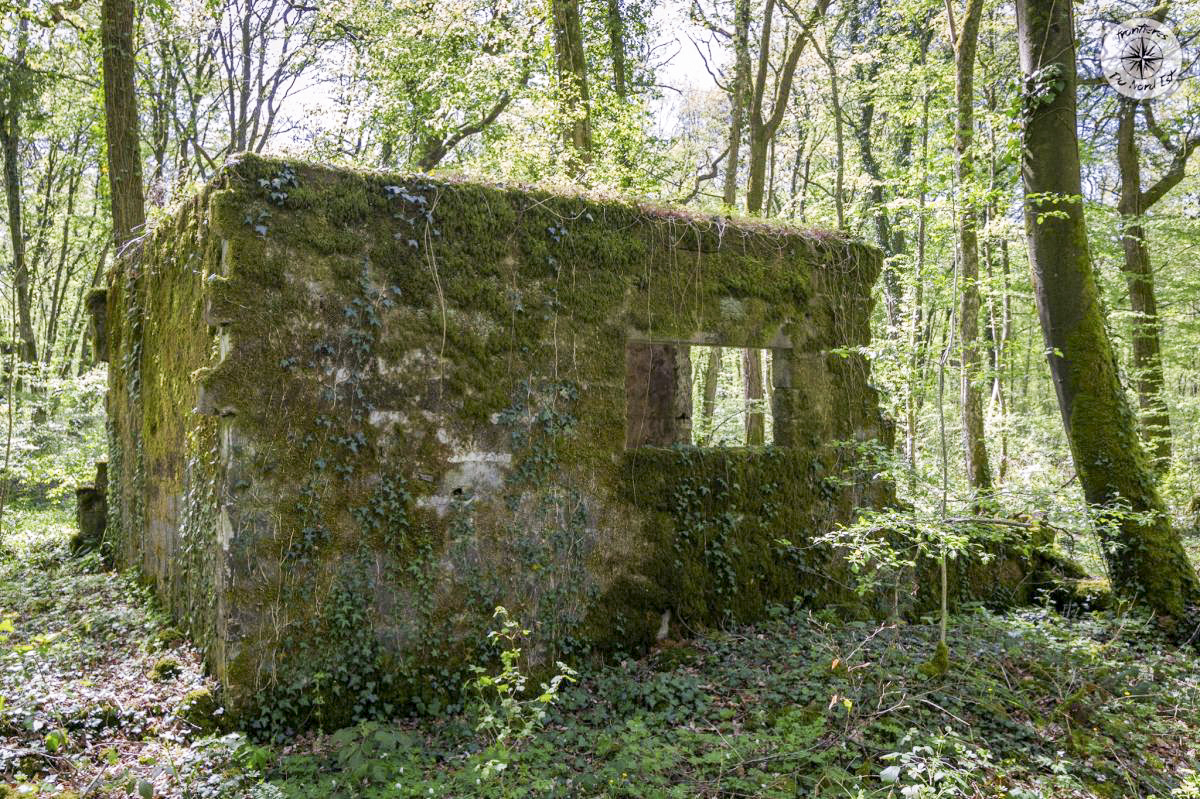 Ligne Maginot - JOPPECOURT - (Depot du Génie) -          