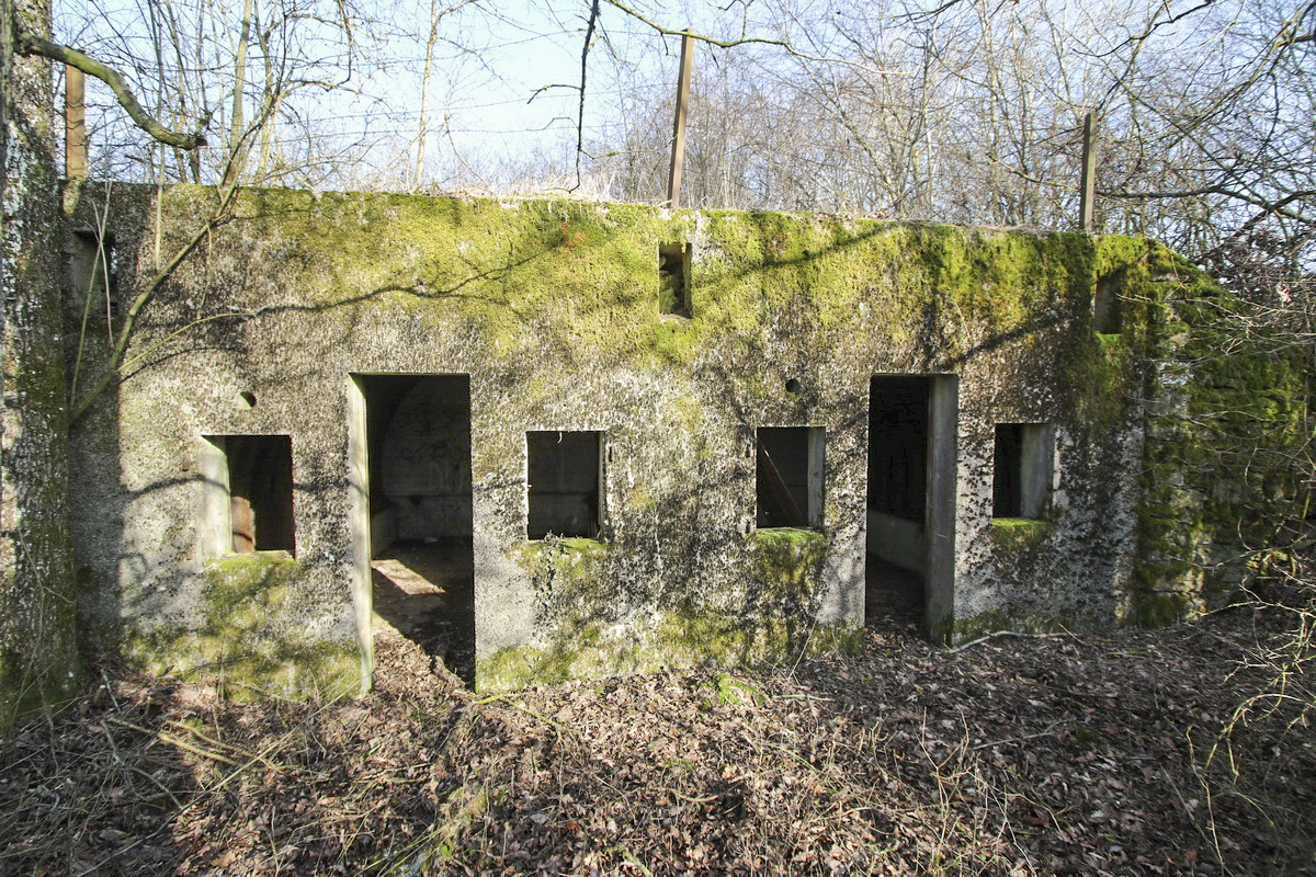 Ligne Maginot - LA MASSUE - (PC) - 
