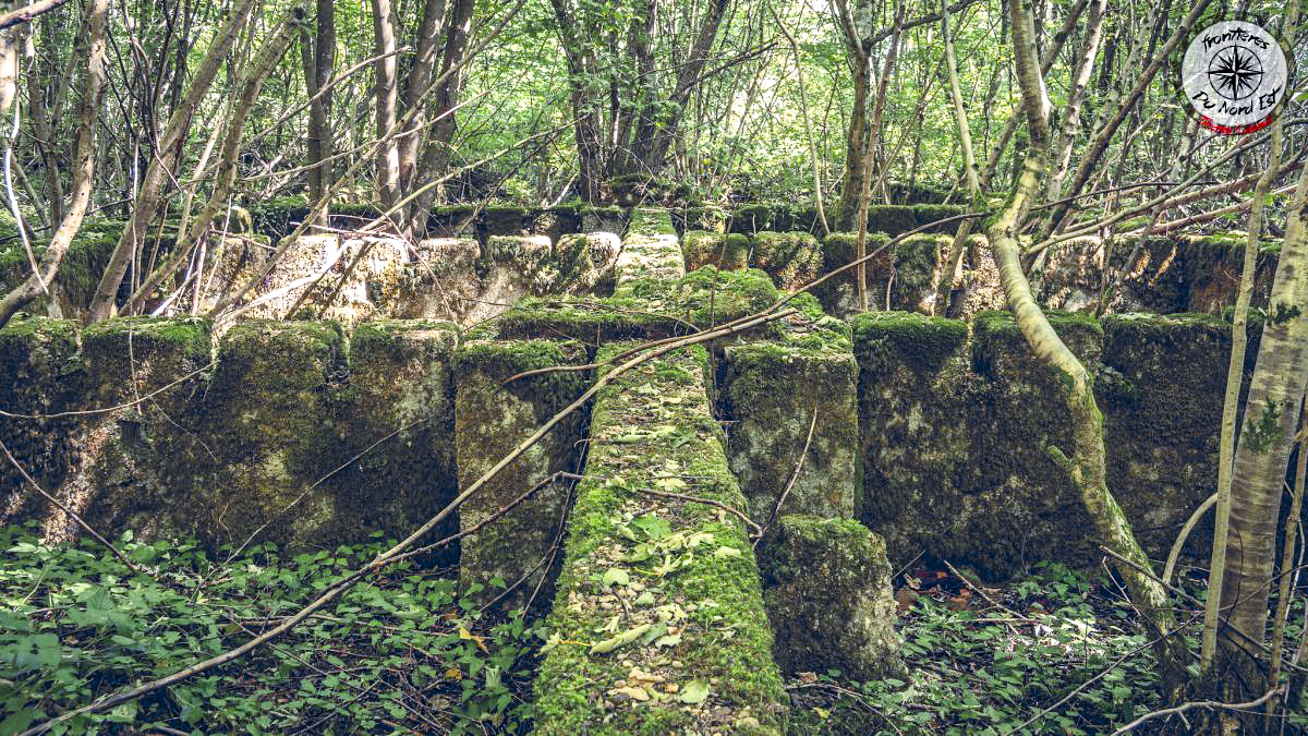 Ligne Maginot - MAUVAIS BOIS - (Casernement) - Les soubassements d'un bâtiment