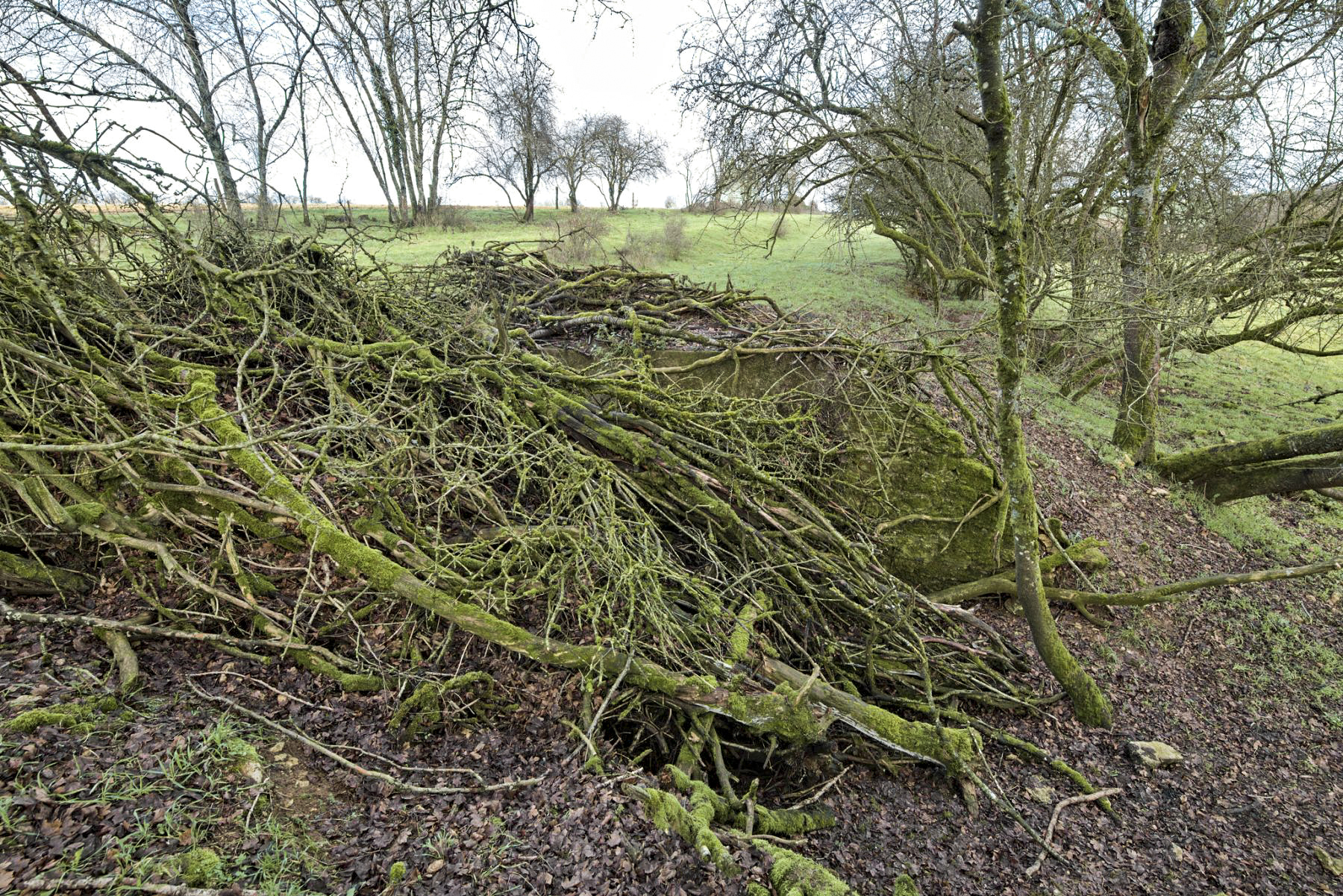 Ligne Maginot - MM352 - FOND DE VICHAUX - (PC) -  - thierry caland
