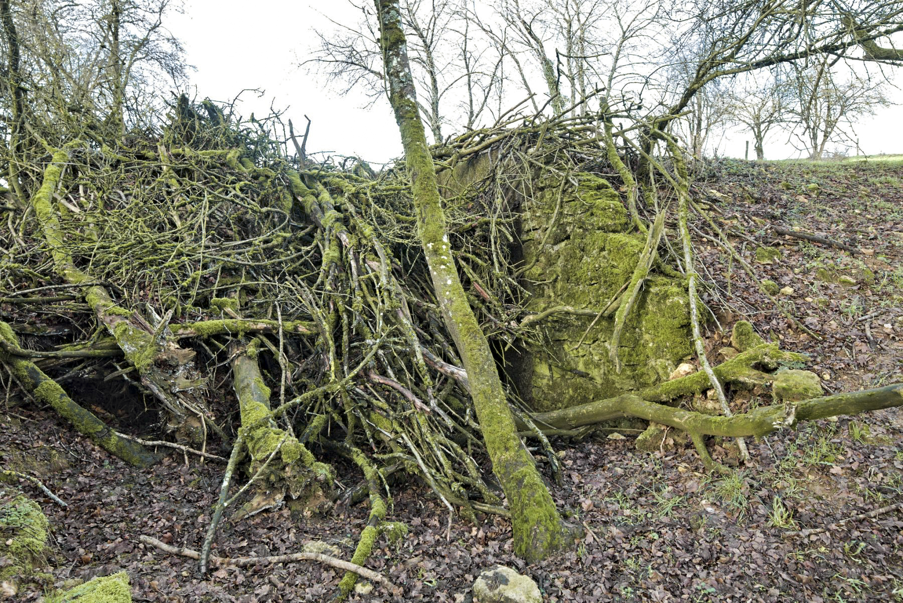 Ligne Maginot - MM352 - FOND DE VICHAUX - (PC) -  - thierry caland