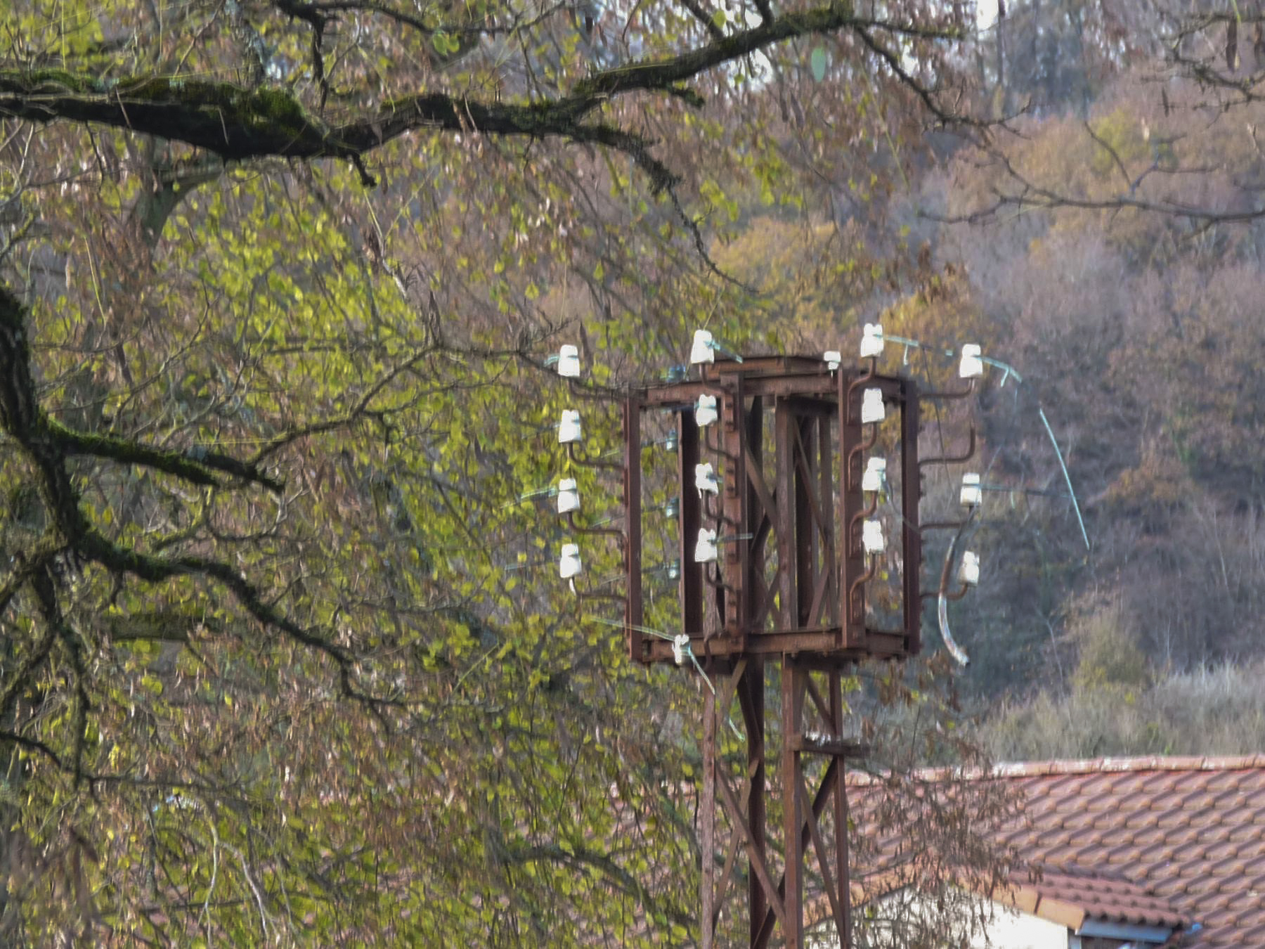 Ligne Maginot - VECKRING - (Camp de sureté) -  - Sylvie Laure LAMBERT