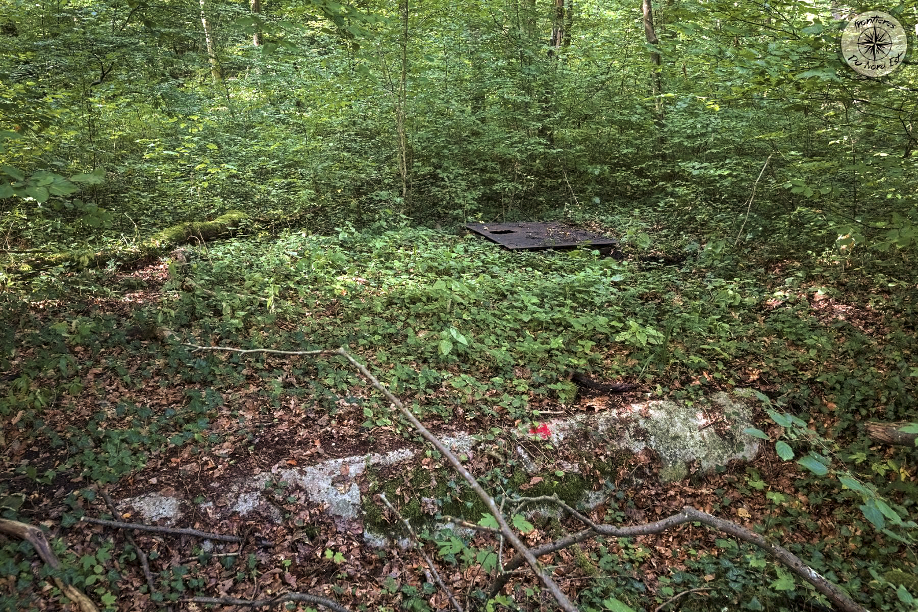 Ligne Maginot - 17LBIS - (Chambre de coupure) -  - Thierry Caland