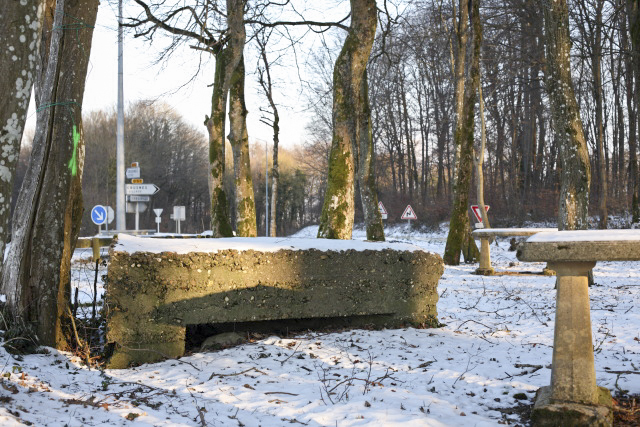 Ligne Maginot - DB13A - (Blockhaus pour canon) - Le bouclier en voie de disparition - www.arnaultjl-photo.com