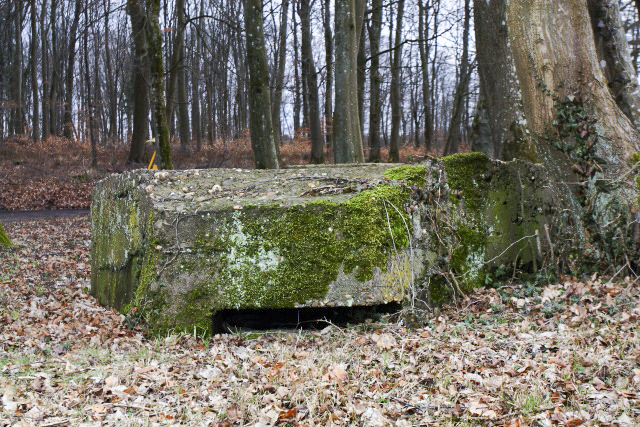 Ligne Maginot - DB13A - (Blockhaus pour canon) -  - www.arnaultjl-photo.com