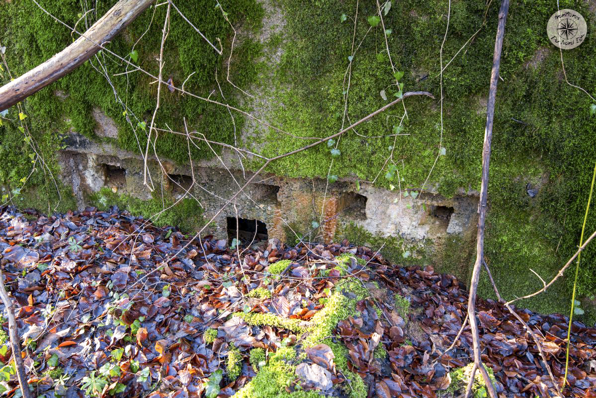 Ligne Maginot - BOCKHOLZ - (Blockhaus pour arme infanterie) -             
