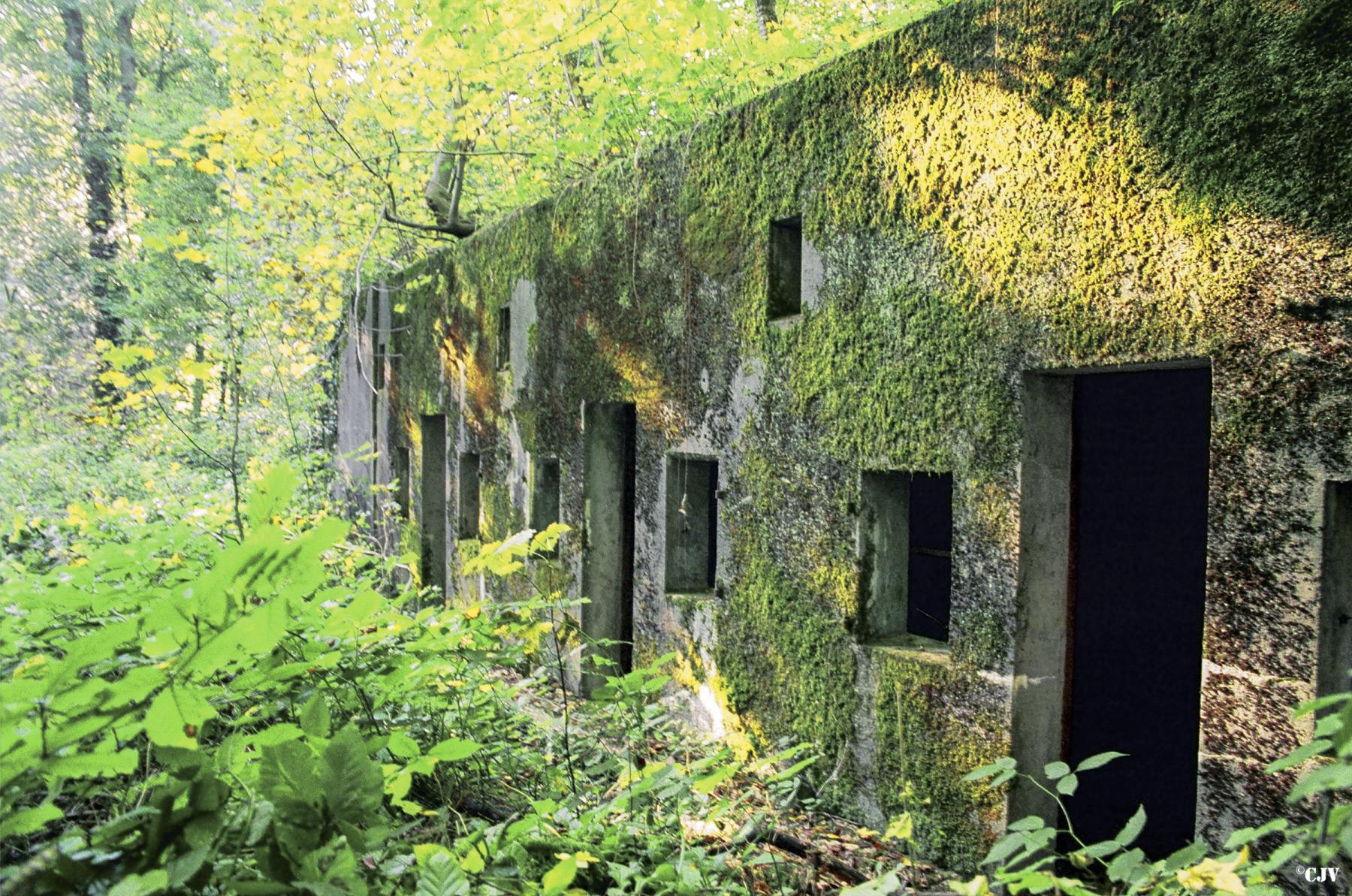 Ligne Maginot - BOIS de BEUVILLERS (Quartier Aumetz - II/128°RIF) (PC de Quartier) - 