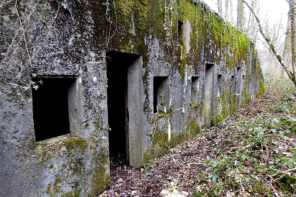 Ligne Maginot - BOIS DE BEUVILLERS (II128°RIF - QUARTIER AUMETZ) - (PC de Quartier) - 