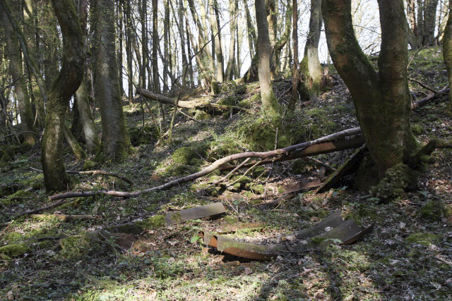 Ligne Maginot - BOIS DE CRUSNES - (Abri) - 